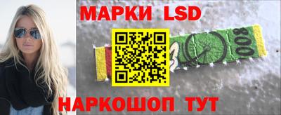 гашик Будённовск