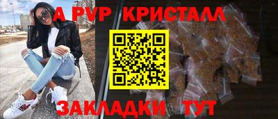 гашик Будённовск