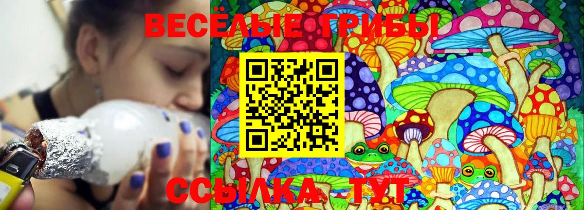 Галлюциногенные грибы Magic Shrooms Псков
