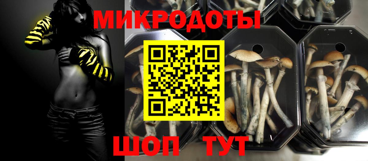 Псилоцибиновые грибы мухоморы  Вход с VPN  Галлюциногенные грибы мицелий  Псков 